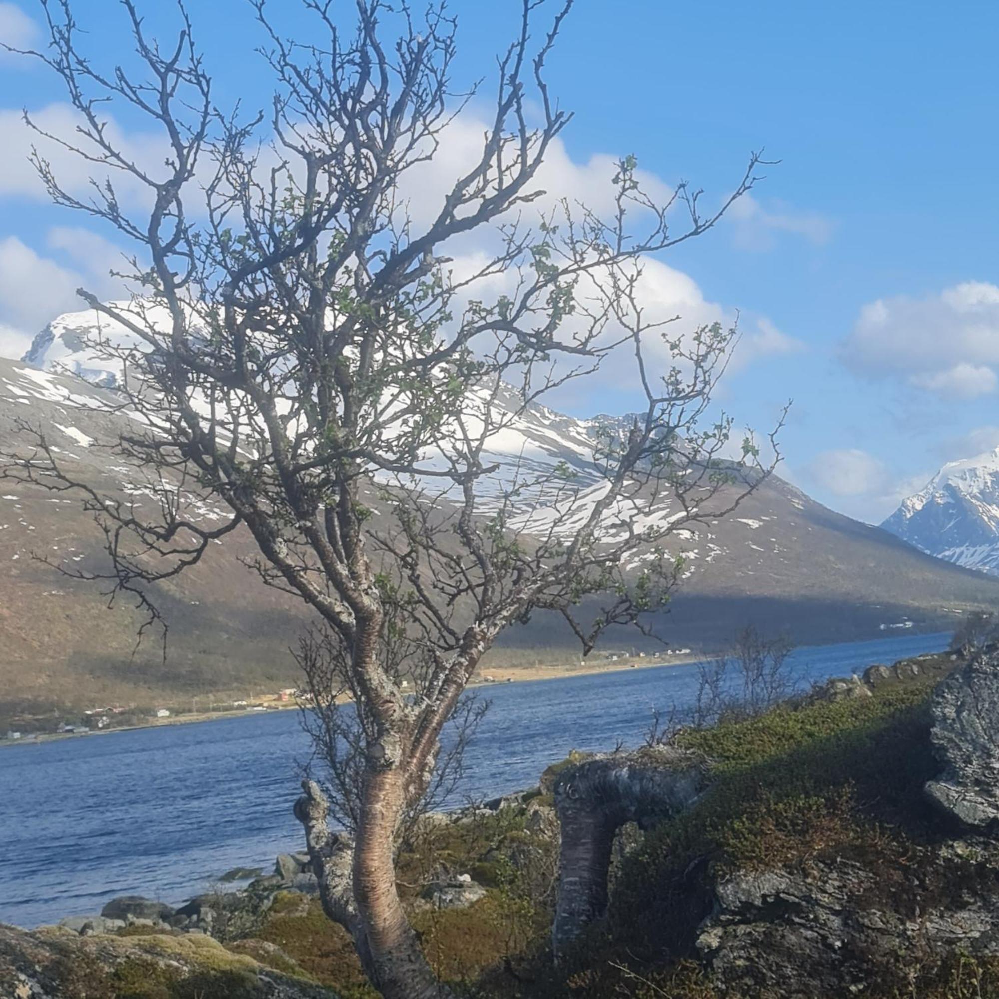Lägenhet Paradis