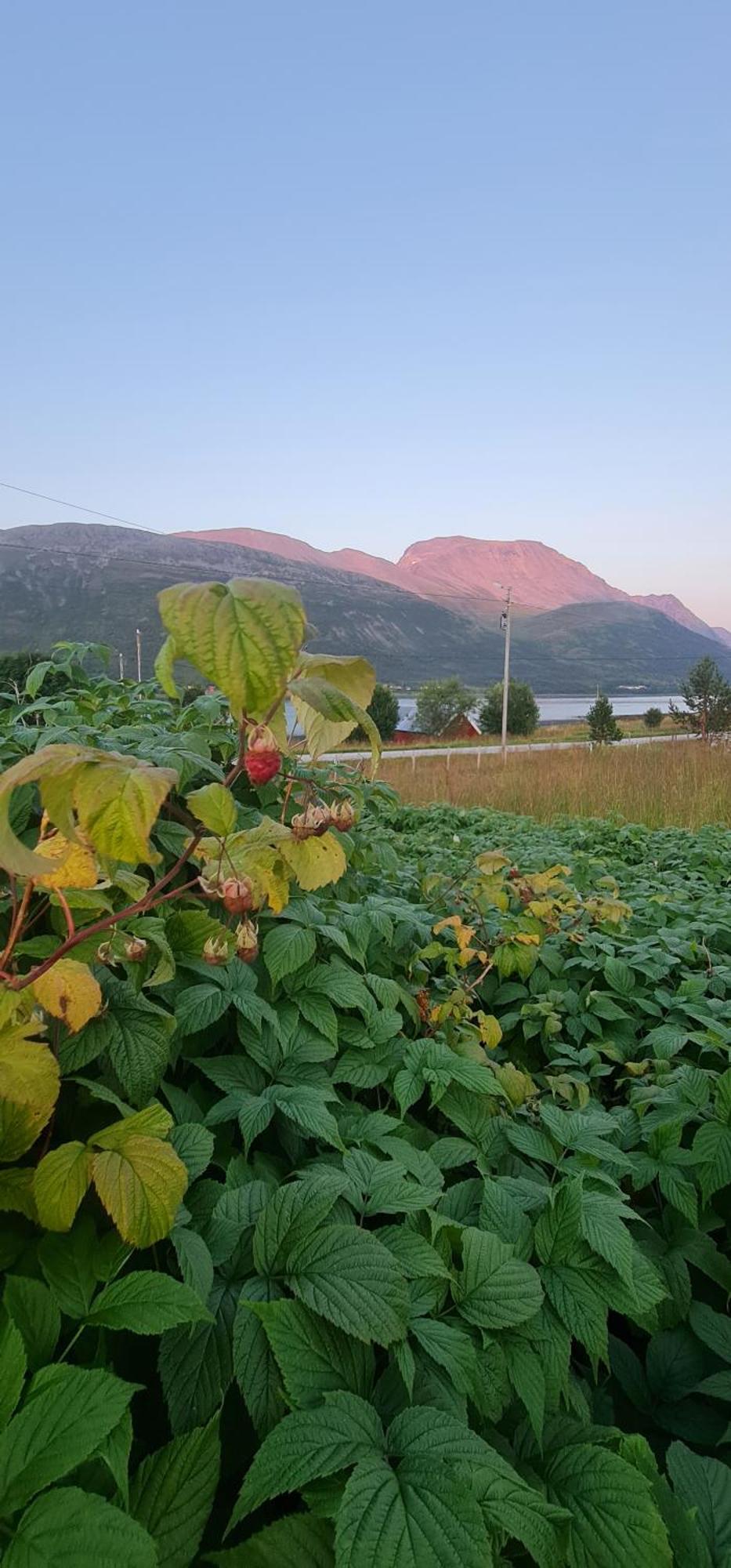 Lägenhet Paradis Nord-Lenangen