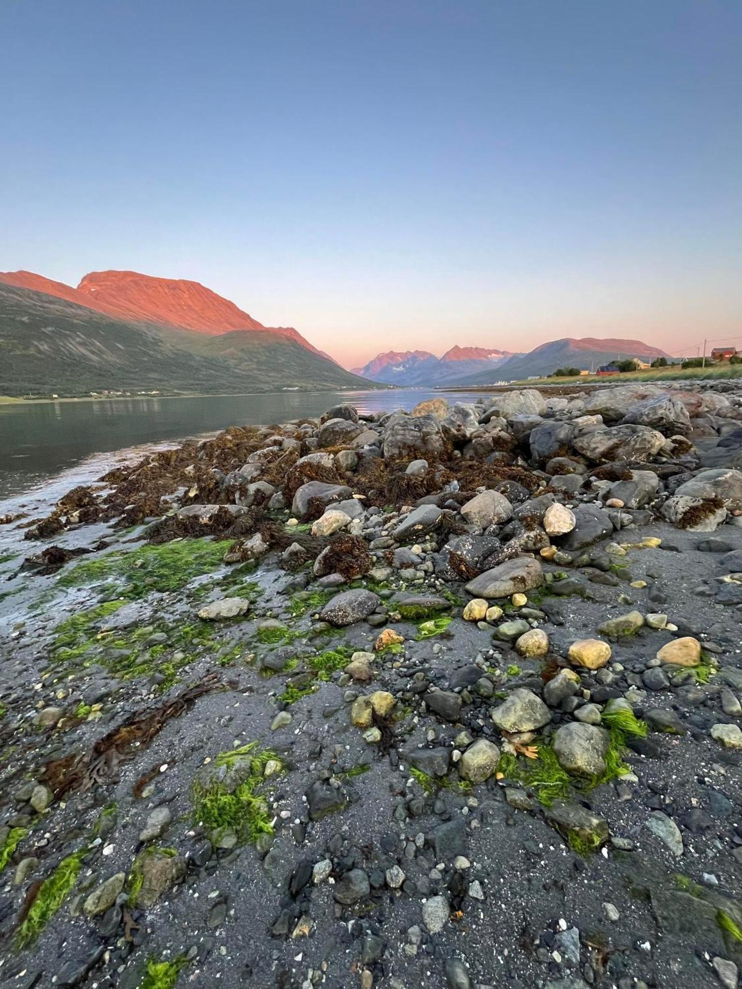 Paradis Lägenhet Nord-Lenangen