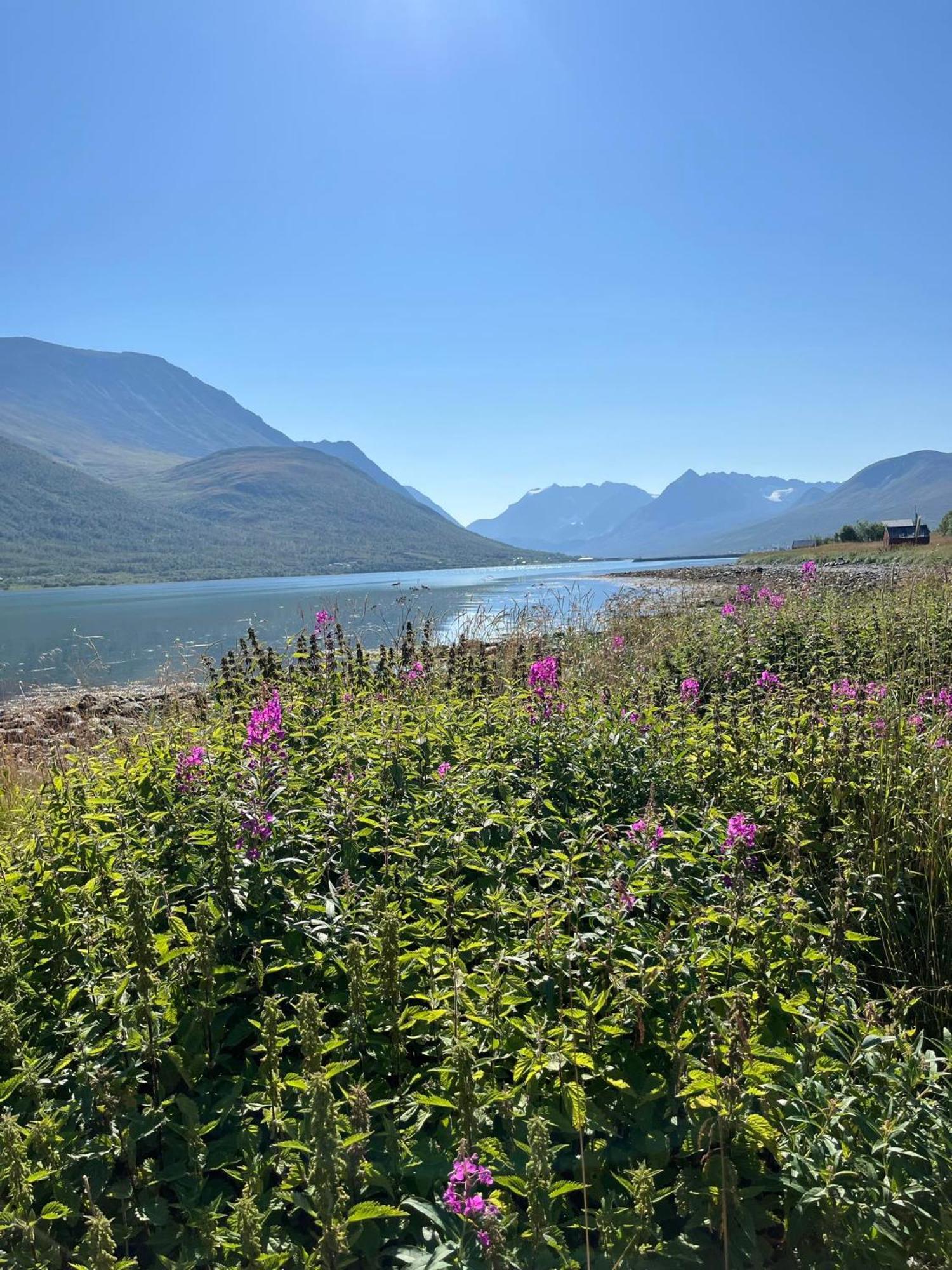 Paradis Lägenhet