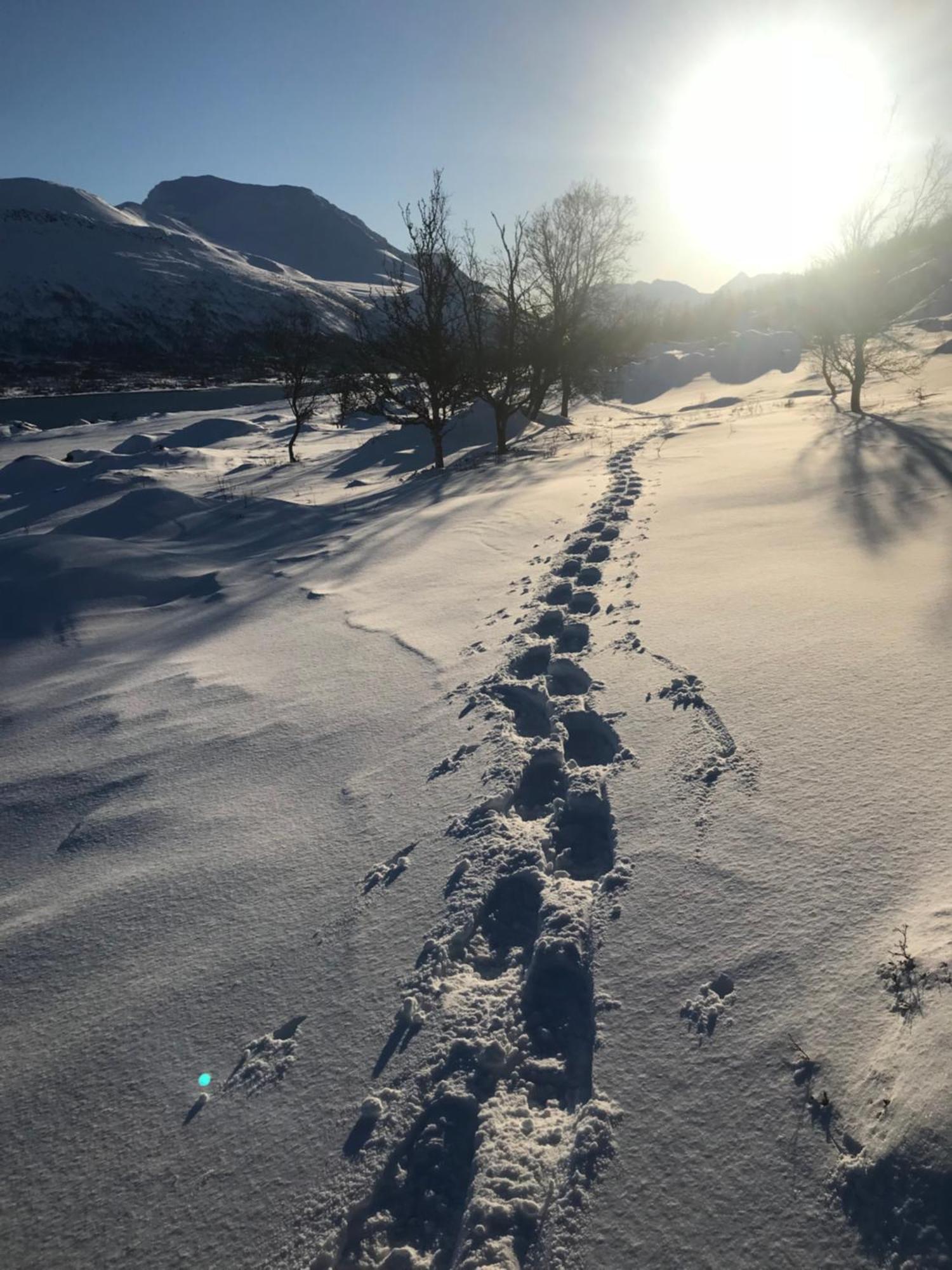 Paradis Lägenhet